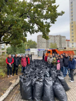 19.10.2024 года в Воронеже прошел общегородской субботник