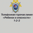 Следственное управление напоминает о круглосуточной работе телефонной линии «Ребенок в опасности» - Следственный комитет