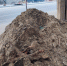 Злоустройство по-воронежски наглядно показали на фото - Bloknot-Voronezh.Ru