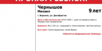 Малыш вышел из маминой машины и пропал в Воронеже - Bloknot-Voronezh.Ru