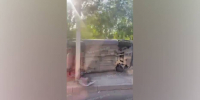 Автомобиль перевернулся в районе Юго-Западного рынка в Воронеже вечером 4 июля - РИА Воронеж