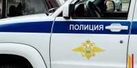 «Бьет колючим шнуром»: опека и силовики проверяют семью в Боровом после жалоб воронежцев - РИА Воронеж