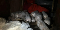 JPG Файл - ГУ МВД Воронежской области
