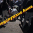 Драку с участием 40 человек в Анне сняли на видео - ГТРК Воронеж