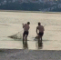 Воронежцы очистили берег водохранилища от тины - Bloknot-Voronezh.Ru