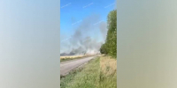 Сильный пожар, охвативший пшеничное поле под Воронежем, сняли на видео - РИА Воронеж