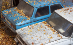 Почти 100 брошенных автомобилей отправили на временную стоянку в Воронеже