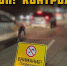 В Воронеже пройдет сплошная проверка водителей на алкоголь - Комсомольская Правда