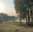 Воронежцы оценили озеленение города: мнения разделились - TV-Gubernia.Ru