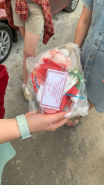 Чем воронежцам запомнилась «Ночь в Дивногорье»