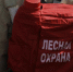 В Воронежской области выросло количество районов с максимальным классом пожарной опасности - РИА Воронеж