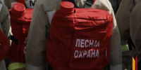 В Воронежской области выросло количество районов с максимальным классом пожарной опасности - РИА Воронеж