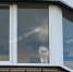 Я не слежу, просто охраняю: в необычном месте обнаружили Владимира Путина в Воронеже - Bloknot-Voronezh.Ru