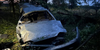 Подросток погиб и трое получили травмы в ДТП в Воронежской области - Обозреватель.Врн