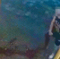 Смертельное ранение ножом попало на видео в Воронежской области - Bloknot-Voronezh.Ru
