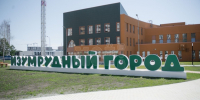 Жена мэра Воронежа заняла высокую должность в мегасаду - МОЁ! Online