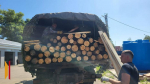 Тренер из Борисоглебска организовал сбор древесины для бойцов СВО