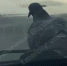 Самого ленивого голубя нашли в Воронеже - Bloknot-Voronezh.Ru