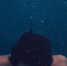 Тело мужчины обнаружили в воронежском водоеме - Обозреватель.Врн