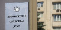 В Воронеже проведут обход избирателей перед выборами в областную думу - ГТРК Воронеж