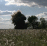 Воронежцам показали на видео уничтожение 101 боеприпаса времён Великой Отечественной войны - ГТРК Воронеж