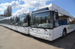 Поставка 330 новых автобусов по программам льготного лизинга ожидается в Воронеже до конца года