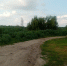 Джунгли из амброзии выросили в Воронежской области - Bloknot-Voronezh.Ru