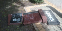 Власти прокомментировали погром на Аллее героев в Эртиле Воронежской области - Обозреватель.Врн