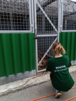 В Воронеже сотрудники Центрально-Черноземного управления Росприроднадзора в преддверии Всемирного Дня бездомных животных посетили зооприют