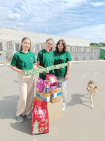 В Воронеже сотрудники Центрально-Черноземного управления Росприроднадзора в преддверии Всемирного Дня бездомных животных посетили зооприют
