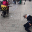 Курьер на электровелосипеде сбил ребёнка на тротуаре в центре Воронежа - МОЁ! Online