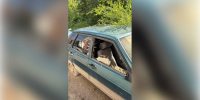 Атака БПЛА на Воронежскую область 17 августа: что известно на текущий момент - РИА Воронеж