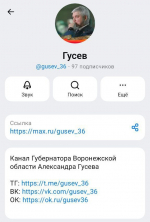 Губернатор Воронежской области запускает новый канал в национальном мессенджере MAX