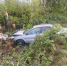 Пьяное ДТП с деревом устроила автомобилистка под Воронежем - Bloknot-Voronezh.Ru