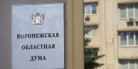 В Воронежской области вводят ответственность за публикацию информации о работе ПВО и последствий атак БПЛА - Единая Россия