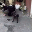 Показали видео задержания воронежца, спонсировавшего ВСУ - МОЁ! Online