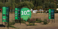 100 тыс. человек посетили воронежский фестиваль «Город-сад» - ГТРК Воронеж