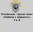Следственное управление напоминает о круглосуточной работе телефонной линии «Ребенок в опасности» - Следственный комитет