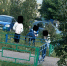 Зверские издевательства детей над щенком вывели из себя воронежцев - МОЁ! Online
