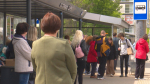 Воронежцам предложили поделиться мнением о качестве общественного транспорта