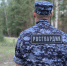 БОЛЕЕ 290 РАЗ ЗА НЕДЕЛЮ РОСГВАРДЕЙЦЫ В ВОРОНЕЖСКОЙ ОБЛАСТИ ВЫЕЗЖАЛИ ПО СИГНАЛУ «ТРЕВОГА» - Росгвардия