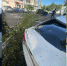 «Помята крыша, разбито заднее стекло»: огромная берёза рухнула на машину в Воронеже - TV-Gubernia.Ru