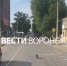 Появилось милое видео спасения собаки водителем автобуса в Воронеже - ГТРК Воронеж