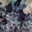 Появилось видео задержания воронежца, призывавшего к устранению власти - МОЁ! Online