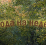 Мокрое начало с солнечным концом: осенняя неделя преподнесет сюрпризы воронежцам - Bloknot-Voronezh.Ru
