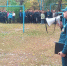 Мероприятие по пожарной безопасности в Воронежском государственном промышленно-экономическом колледже - МЧС