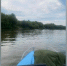В Нововоронеже перед судом предстанет пьяный водитель катера, насмерть переехавший мужчину - РИА Воронеж