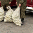 Воронежцы передали бойцам 200 килограмм моркови и яблок - Комсомольская Правда