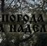 Осенняя неделя в Воронеже: с каждым днем все холоднее - Bloknot-Voronezh.Ru