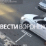 В воронежском ЖК автомобилист несколько раз переехал собаку - ГТРК Воронеж